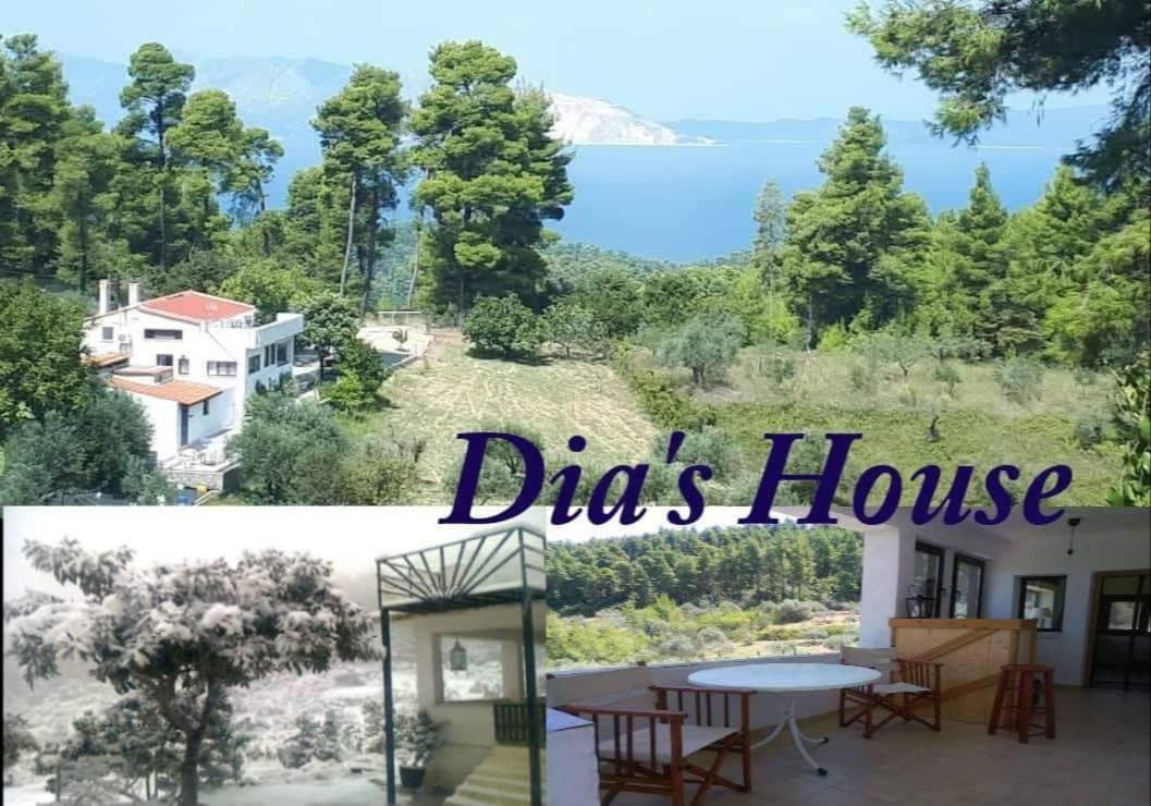 Wildherb House Agriovotano Экстерьер фото